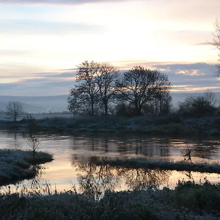 Tonenburg Хокстер