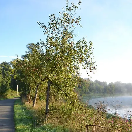 Tonenburg Хокстер